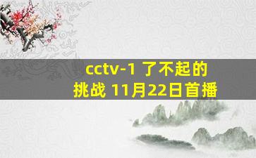 cctv-1 了不起的挑战 11月22日首播